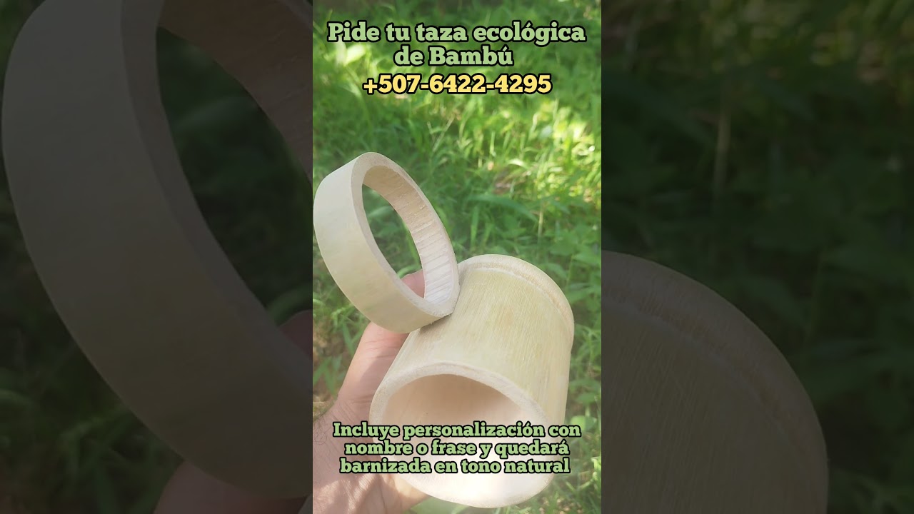 TASAS DE BAMB&Uacute; ECOL&Oacute;GICO PARA CAF&Eacute; TE O JUGOS (TASAS HECHAS CON GUADUA O CA&Ntilde;AZA)
