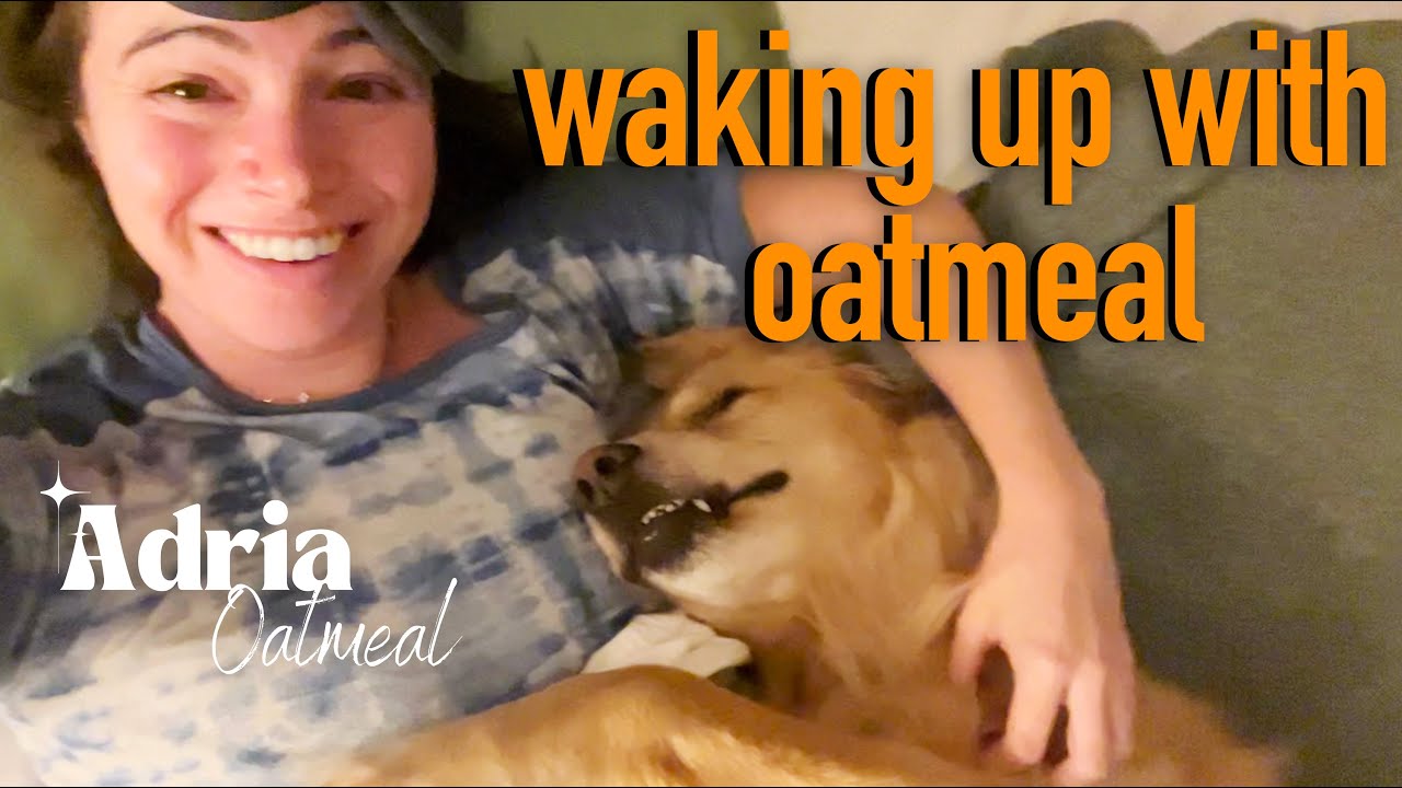 mornings with mr. meal: waking up with my 70lb baby