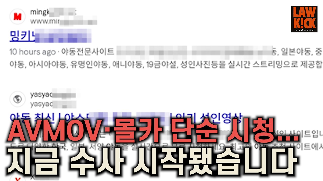 AVMOV 보면 진짜 잡힐까? 성범죄 전문 변호사에게 직접 물어봤습니다 | 안세훈 변호사 ep1