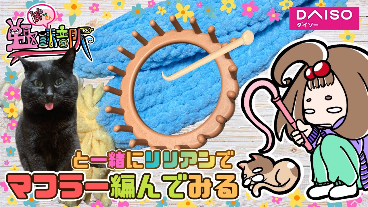 ダイソー毛糸で猫と一緒にマフラー編んでみた‼️【リリアン編み】