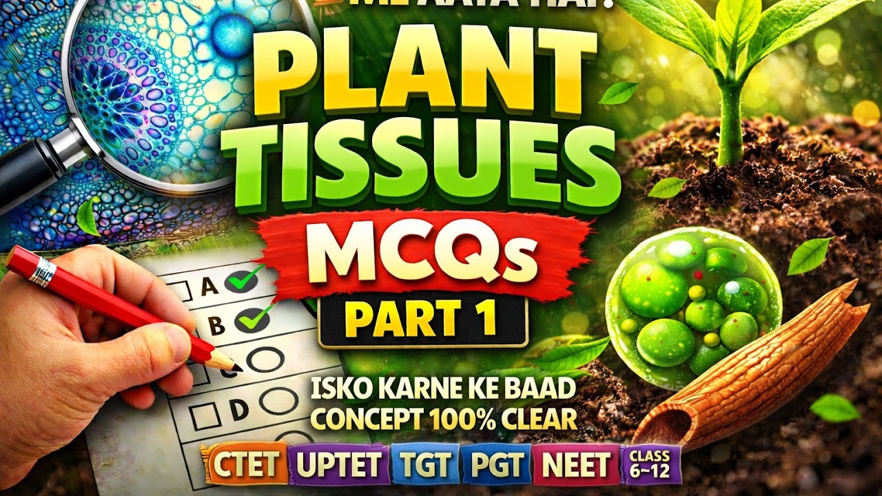 Plant Tissues– MCQ Part 1 | NCERT Class 6–12 | CTET UPTET TGT PGT NEET