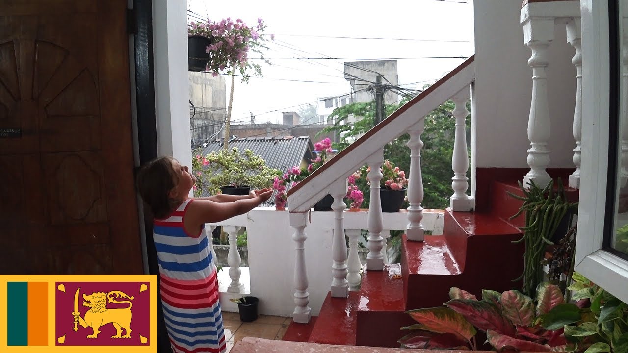 Rain in Colombo Sri Lanka