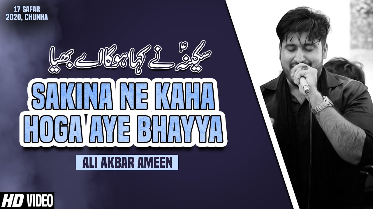 Sakina Ne kaha Hoga Aye Bhayya Abid E Muztar | Ali Akbar Ameen 2020 | 17 Safar Chunha Sultanpur 2020