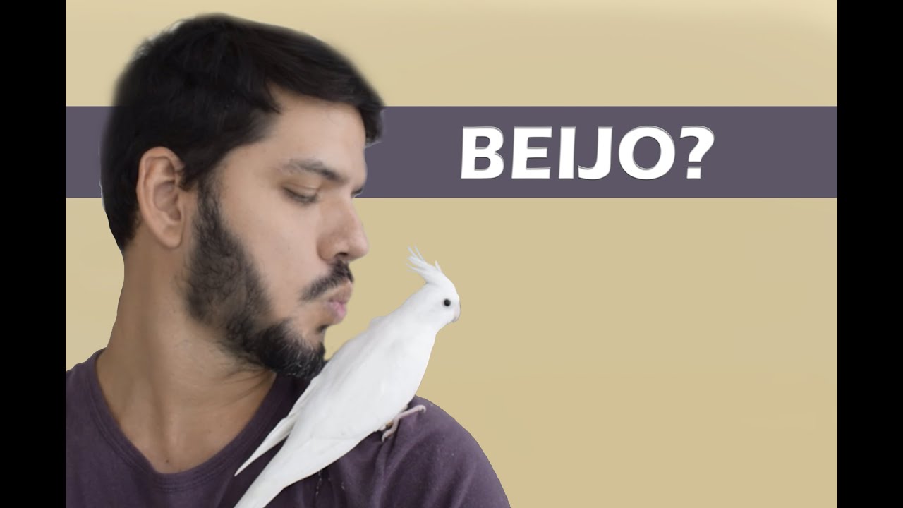 O que você precisa saber sobre beijar aves...