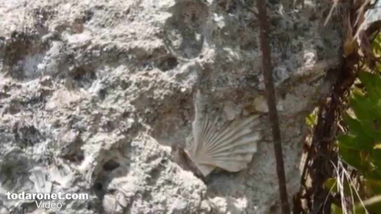MEGARA IBLEA - Sicilia - Sicily