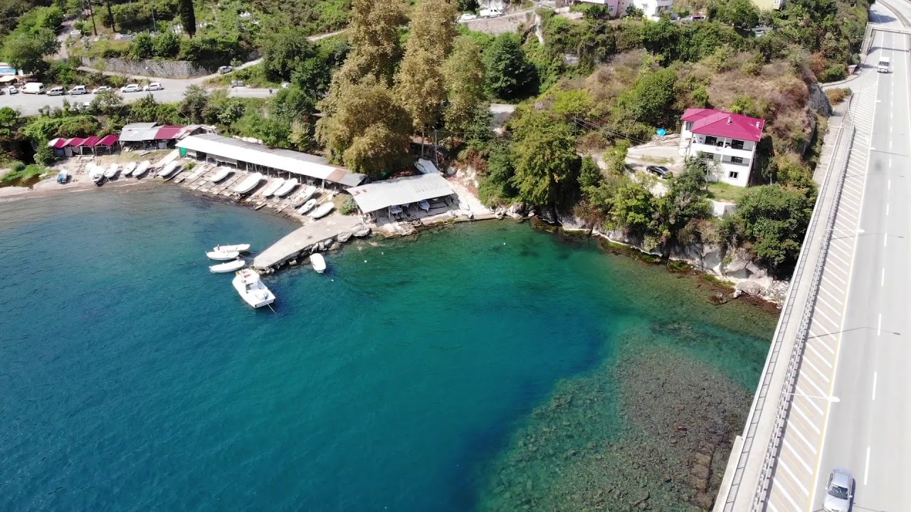 Giresun Espiye G&uuml;lburnu