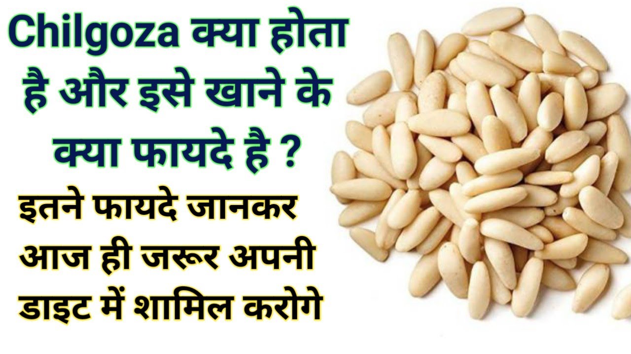 Chilgoza क्या होता है और इसे खाने के क्या फायदे है | Chilgoza Dry Fruit Health Benefits in Hindi