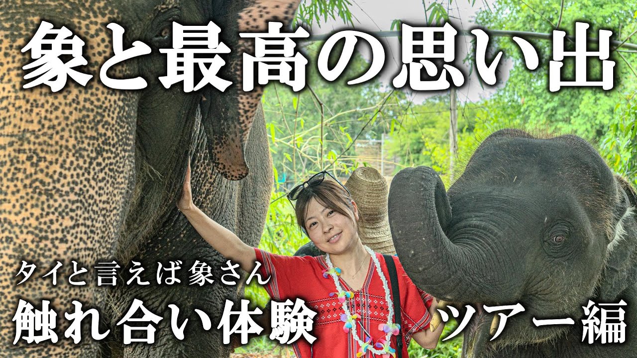 【タイ🇹🇭】夢叶った！ゾウの保護施設で水遊び？ゾウに乗るのではなく触れ合ってきました！日本では味わえない体験でした《アジア13》