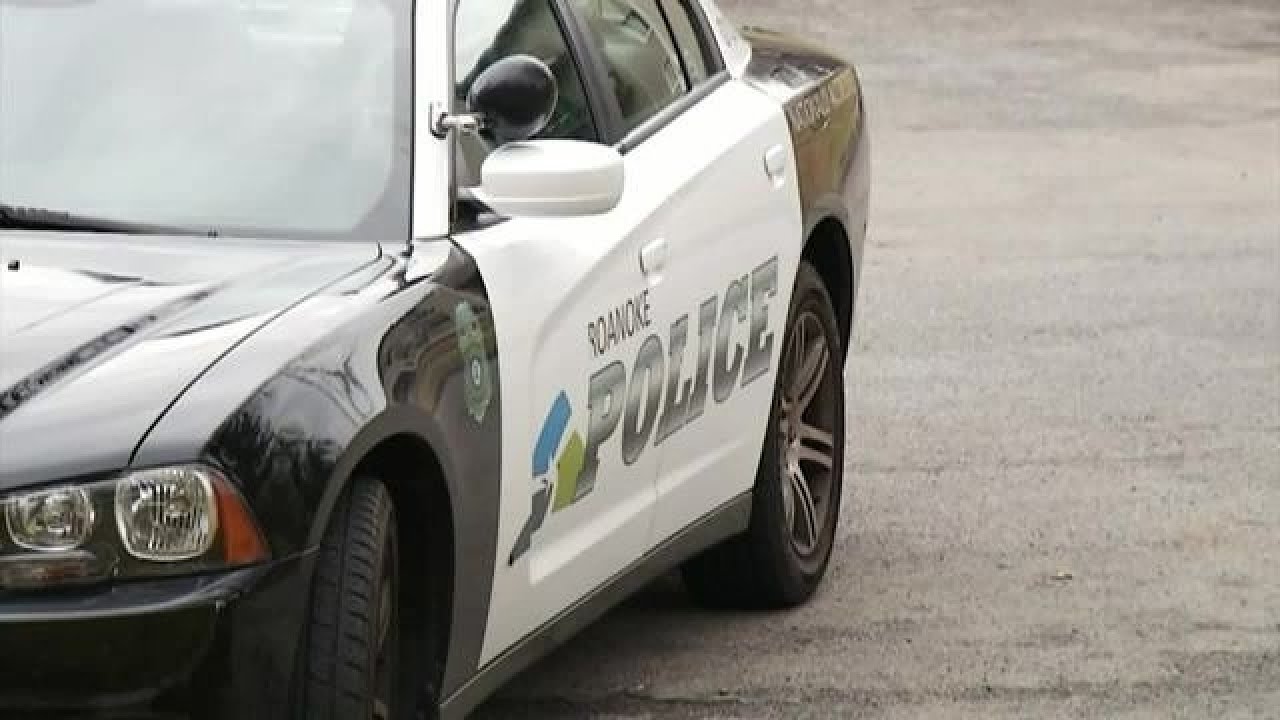 Анализ аудита полицейского управления Роанока
