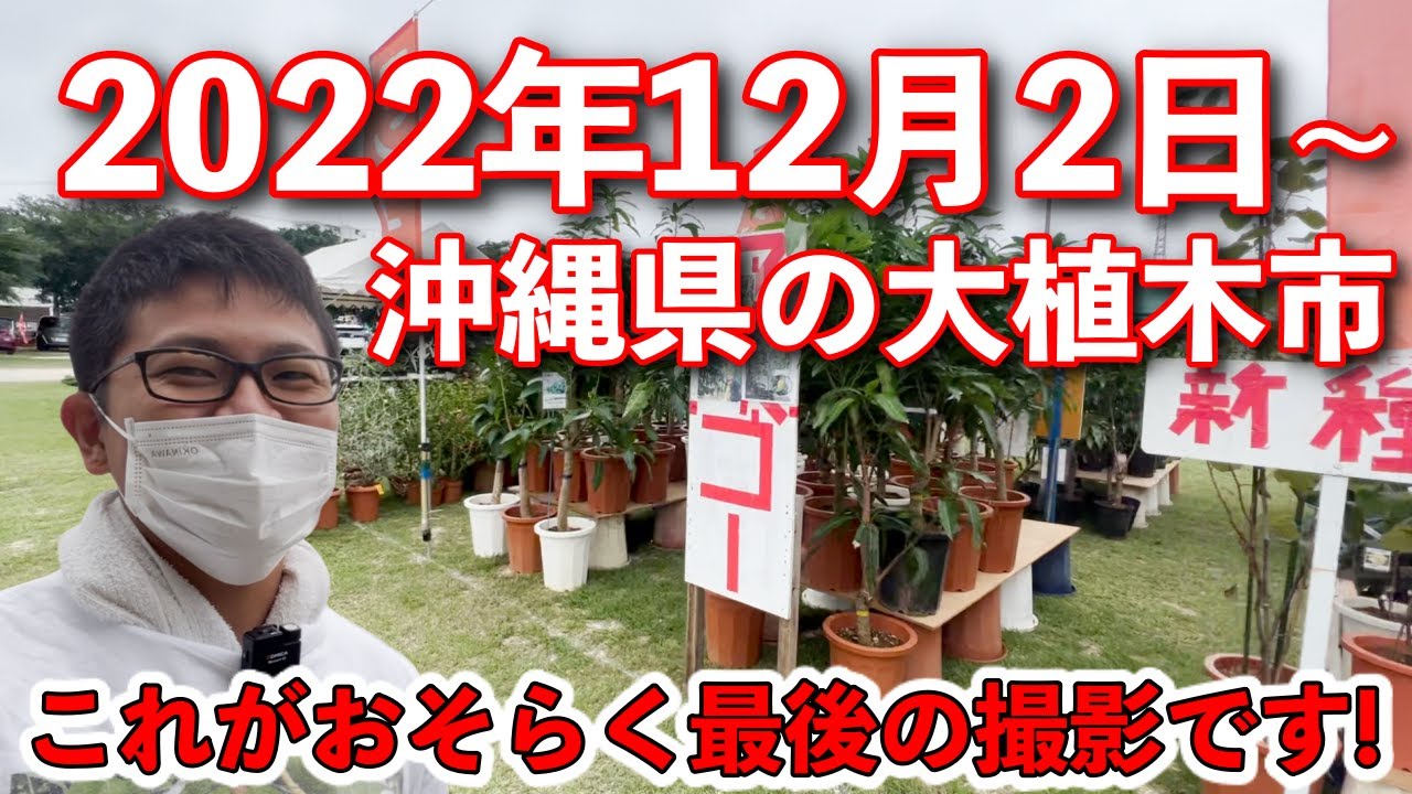 【速報】早めにみてね！今日から沖縄県の大植木市！早めに行ったほうが良いです！売り切れます！