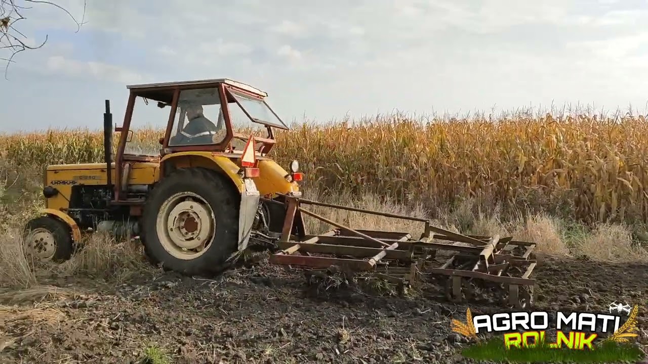 Oporowe agregatowanie🔥 dzień drugi 👻