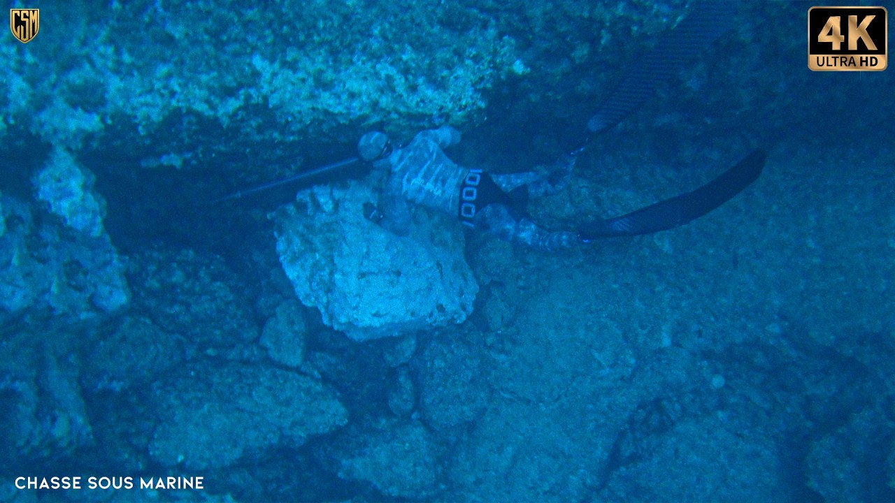 CHASSE SOUS MARINE POISSON &Eacute;NORME &agrave; 3 m&egrave;tres Peche sous marine m&eacute;diterran&eacute;e 2026