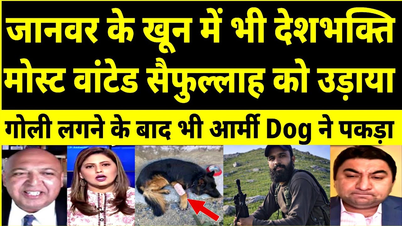 Indian Army sends Jas's most wanted Saifullah to 72 hoors | Indian army Tyson Dog ❤️