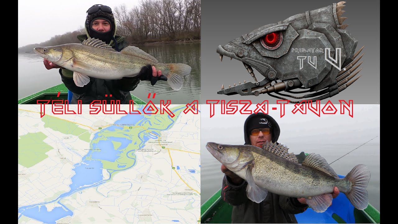 Predator TV V. Peregetés Süllőre a Tisza-tavon