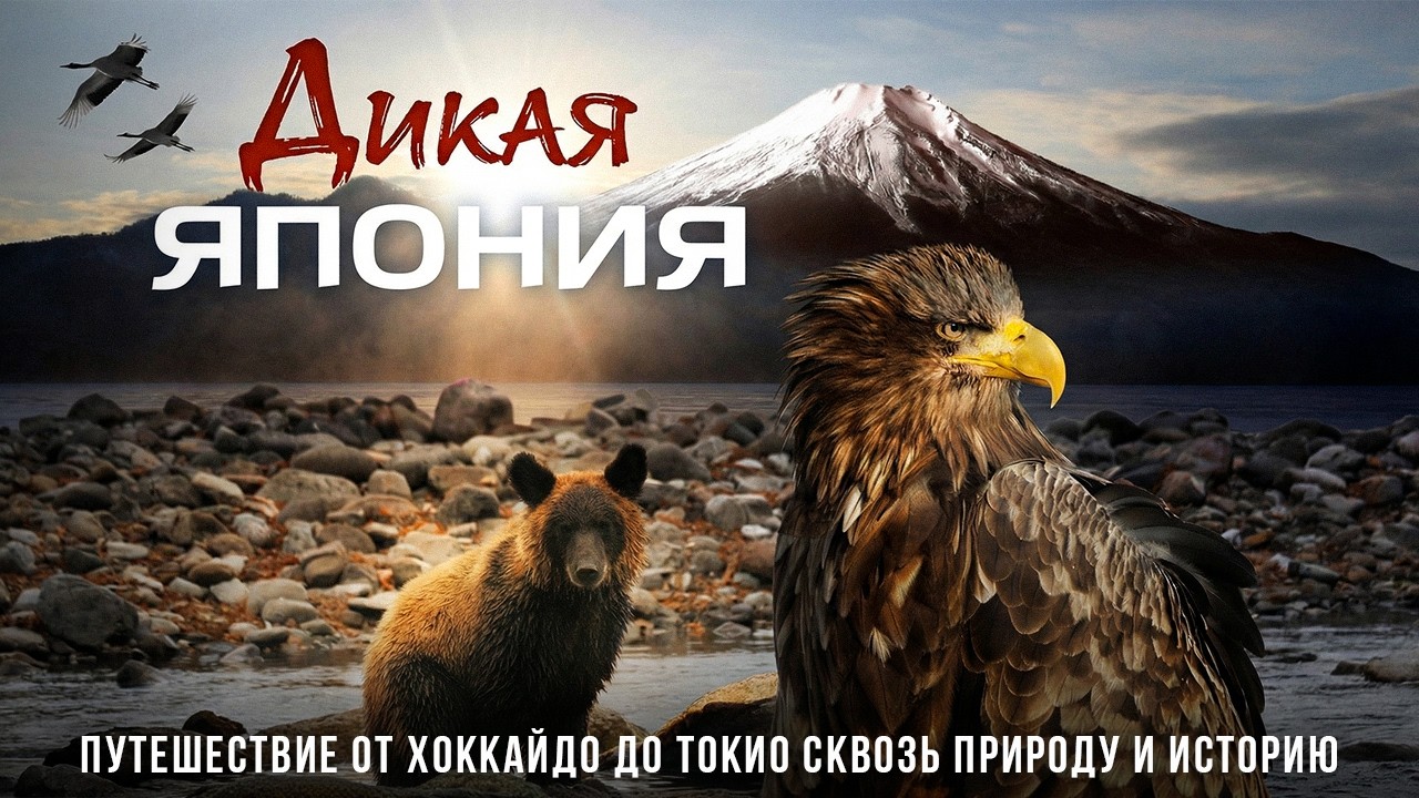 ФИЛЬМ | Дикая Япония: История страны, рожденной вулканами.
