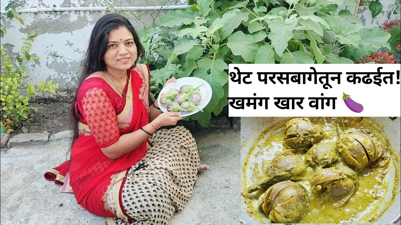 बागेतून थेट कढईत! ताज्या खाऱ्या वांग्याची गावरान रेसिपी 🌿🍆
