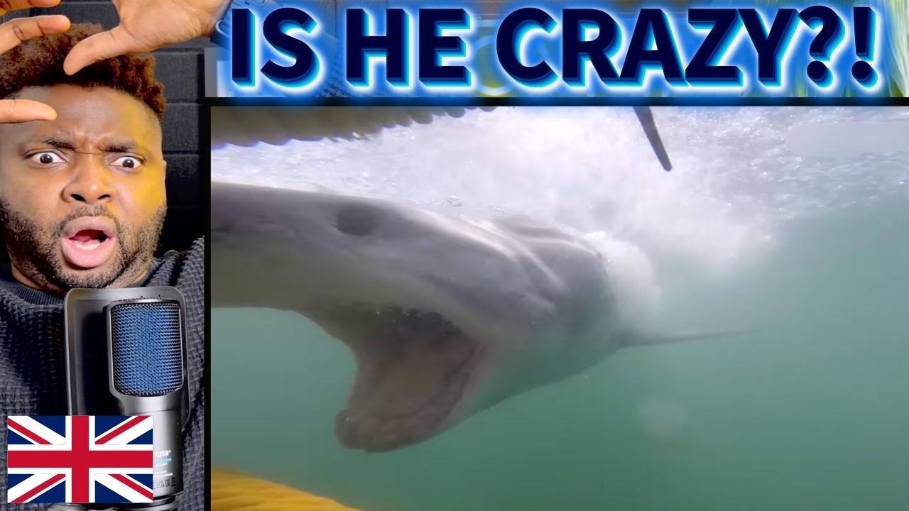 TERRIFYING Wild Animal Moments — We Don't Have These in the UK! - Brit Reacts