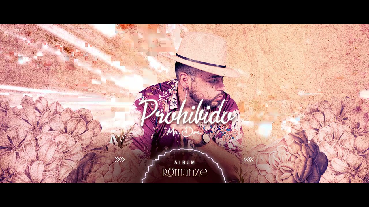 Mr. Don - Prohibido (Visualizer)