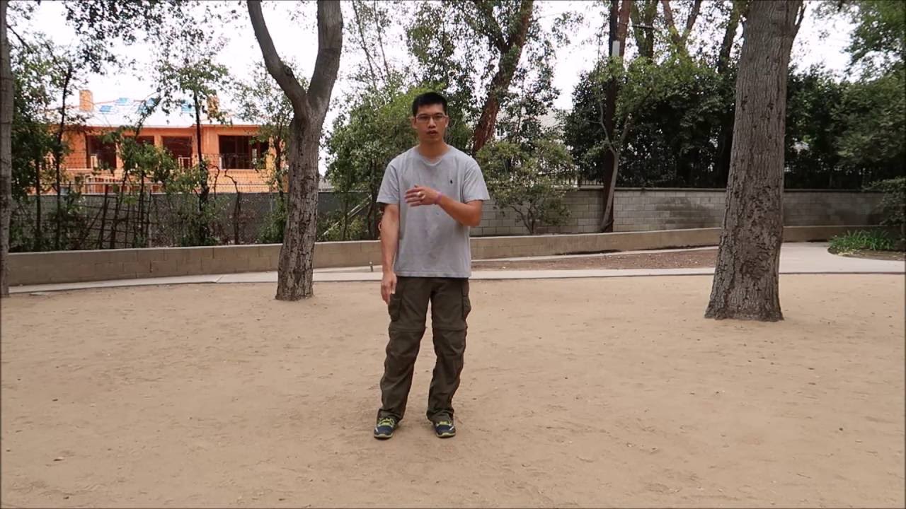 Cloud hands fundamentals (雲手)