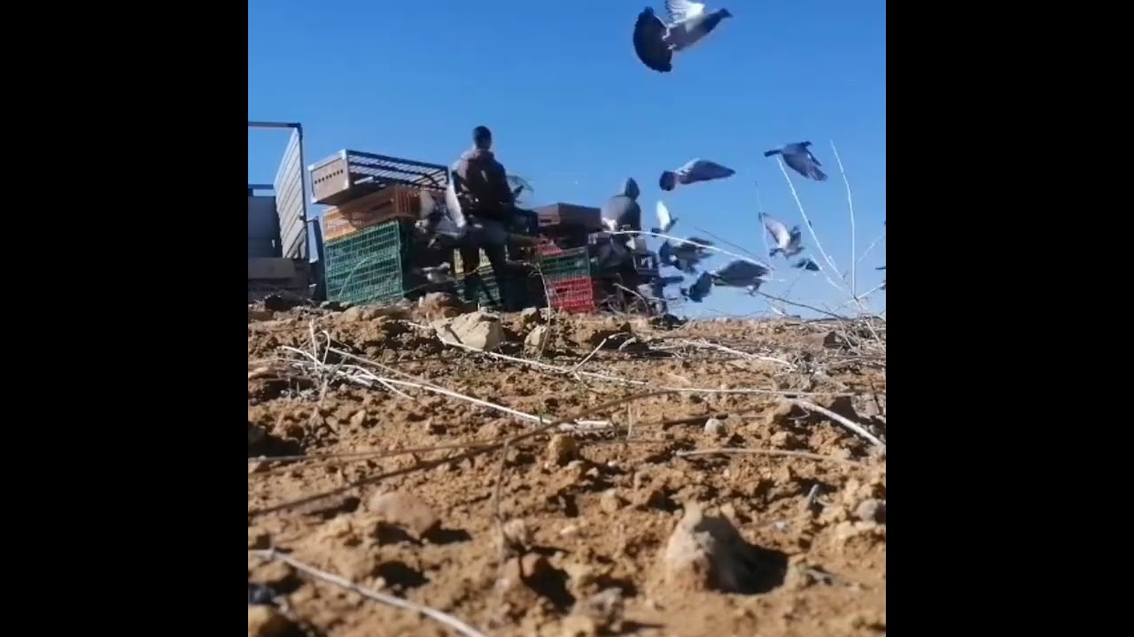 التدريب رابعة  من تنانت 34km ✌️✌️🕊️