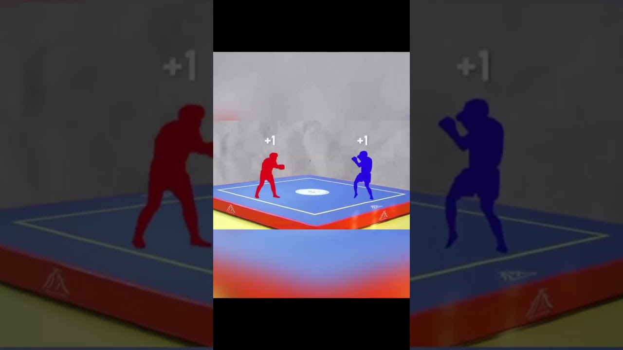 how to get point in Wushu Sanda Fights | Everyone must be watch and Share