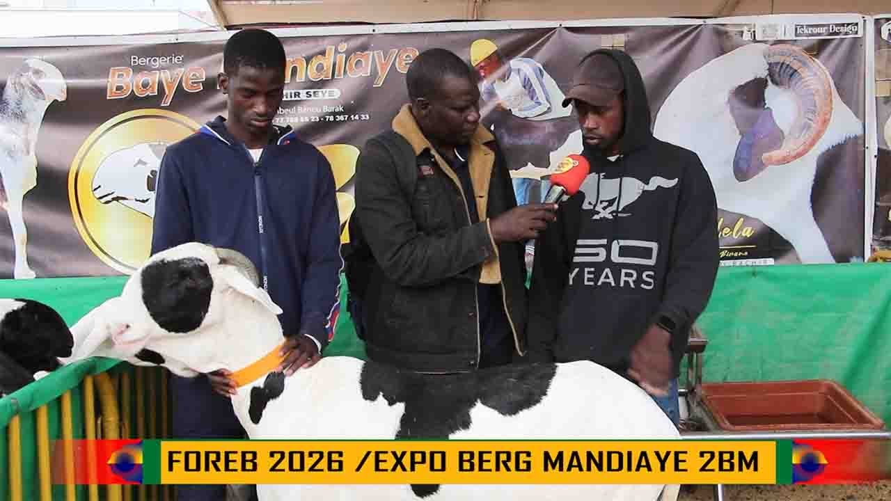2MB