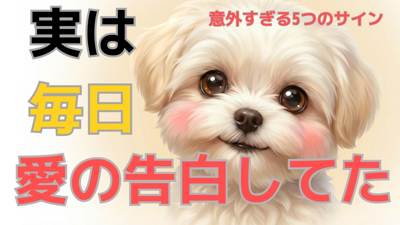 【最新研究】実は、愛犬があなたに「愛を告白している」意外すぎる5つのサイン【犬のココロ図鑑】