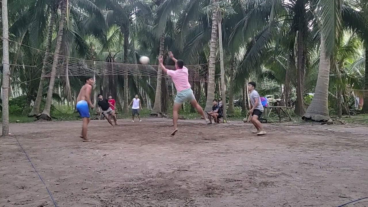 Sagrada full video 11