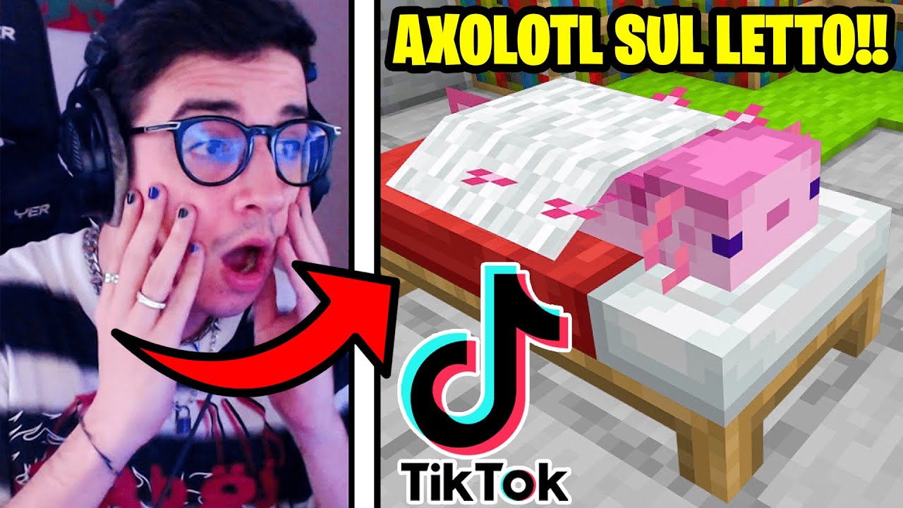 10 TIKTOK *SEGRETI* DA USARE SU MINECRAFT 1.17!!