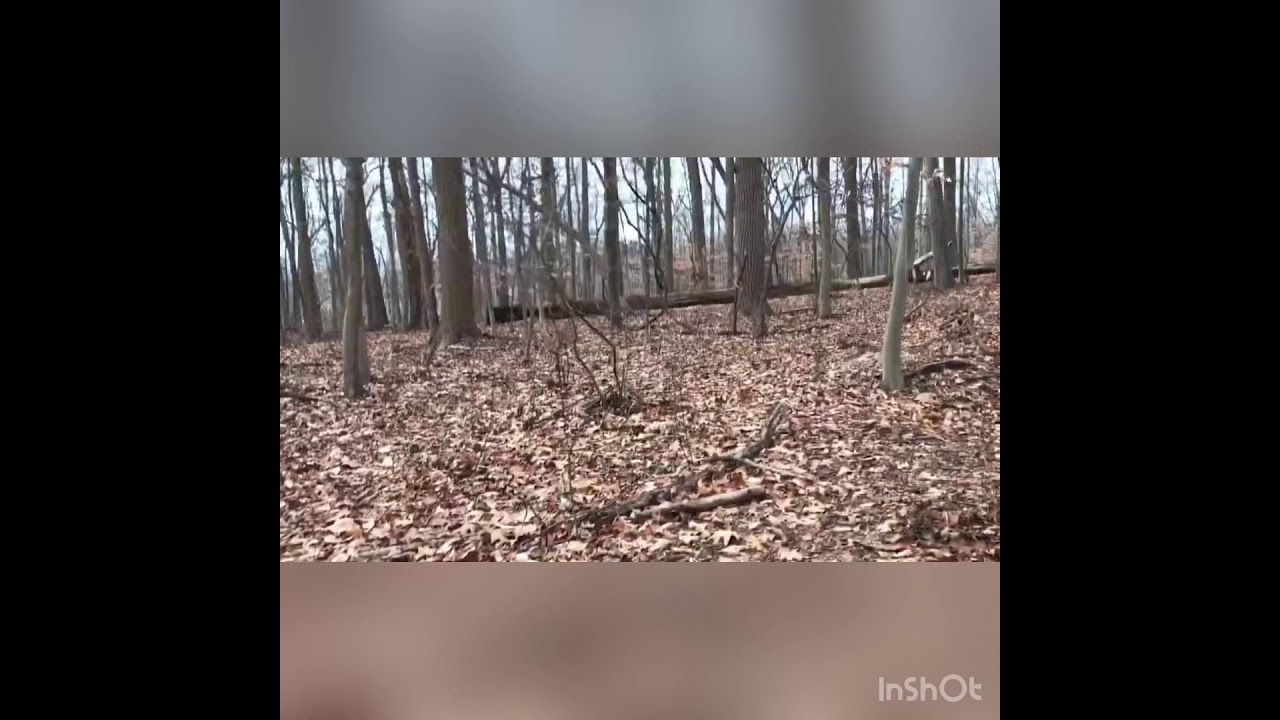 Hemlock Falls . New Jersey