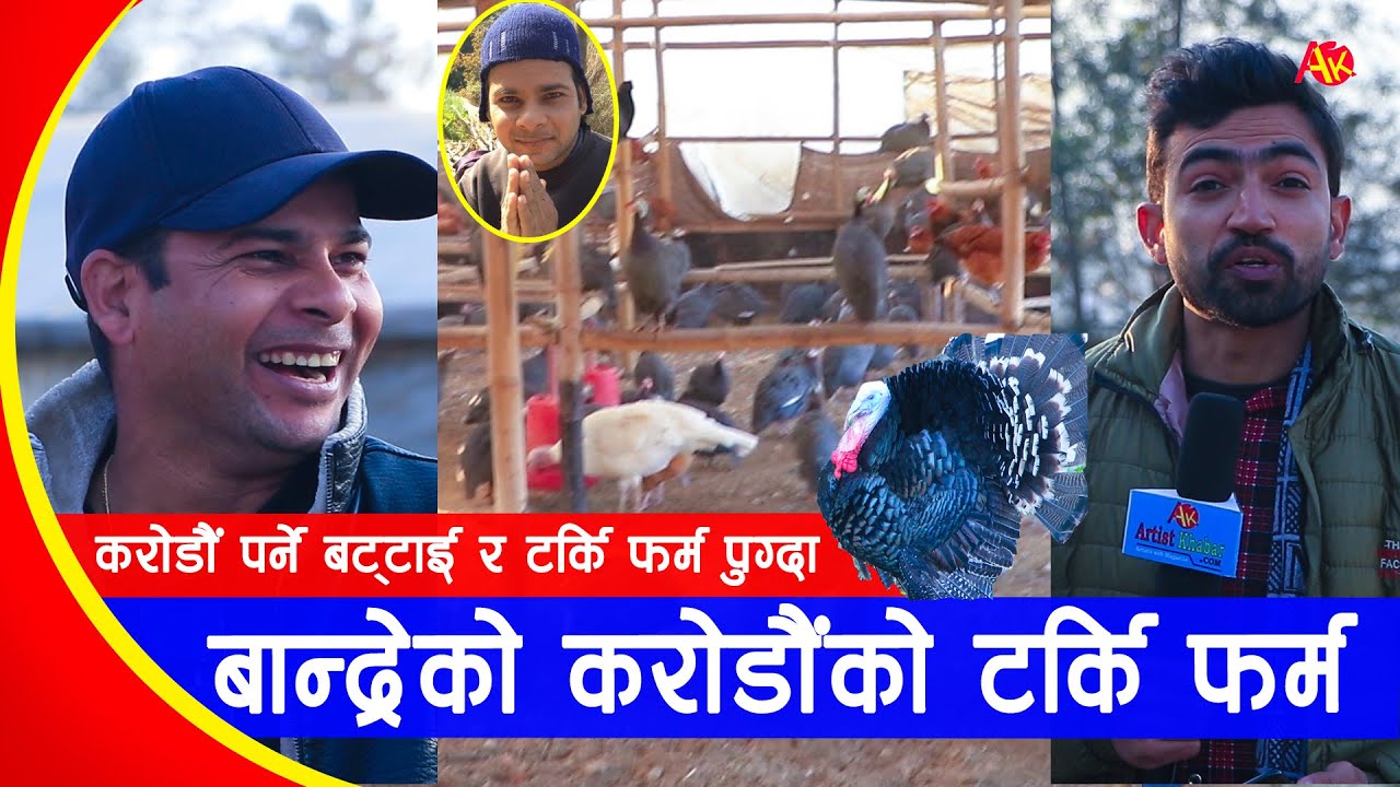 मेरिबास्सैका बान्द्रेको करोडौं पर्ने टर्कि, बट्टाई, कुखुरा फर्म, फर्म छिर्दा अचम्मै परियो | Bandre