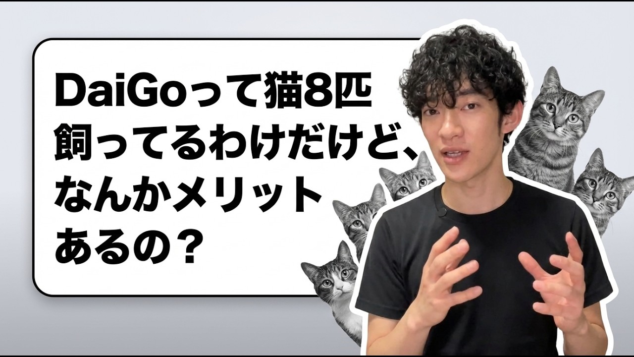 猫を飼う様々なメリットについて