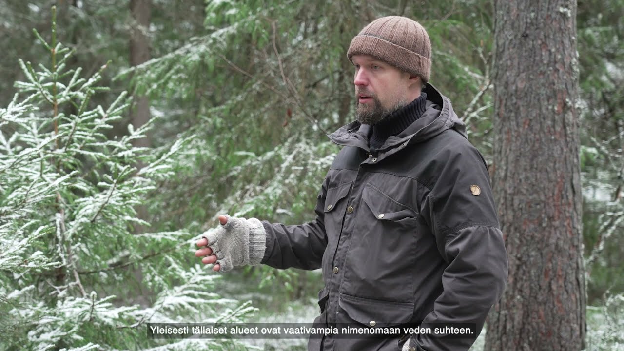 4 - CCF on peatlands - Specialist, forester Jussi Saarinen, Silmu Oy