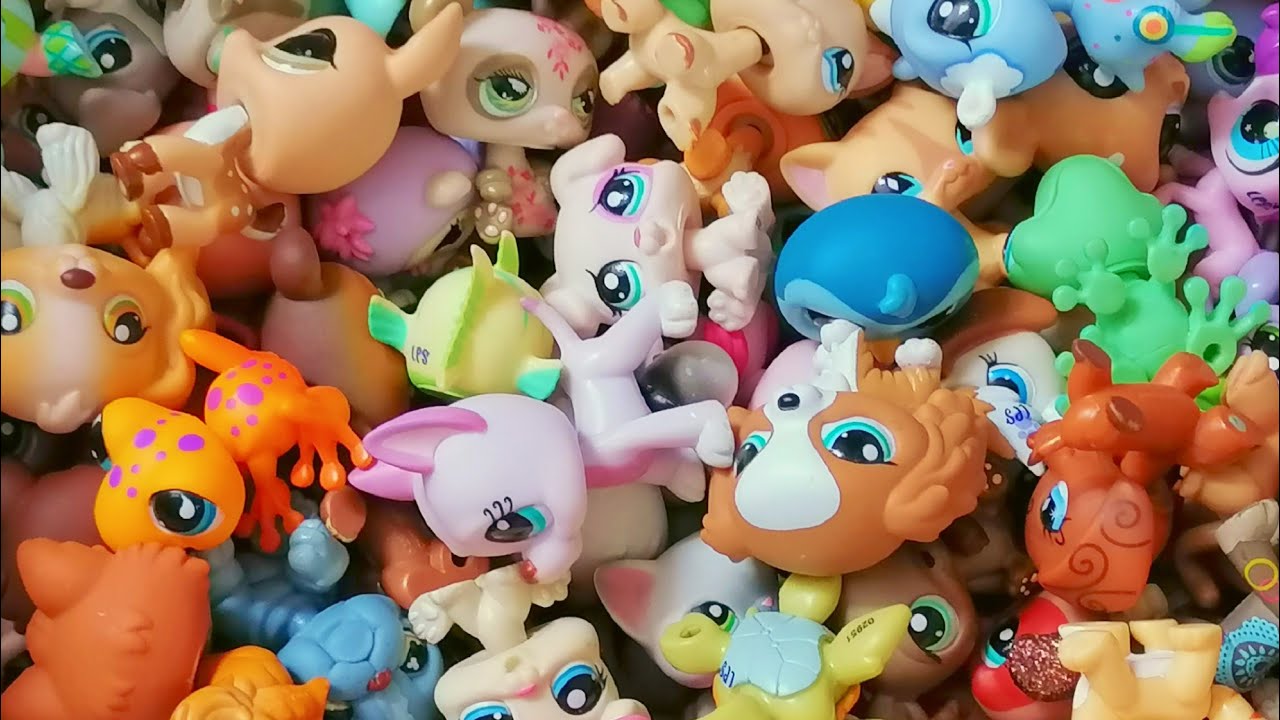 Mi colección de Lps 2024 | LpsViolett