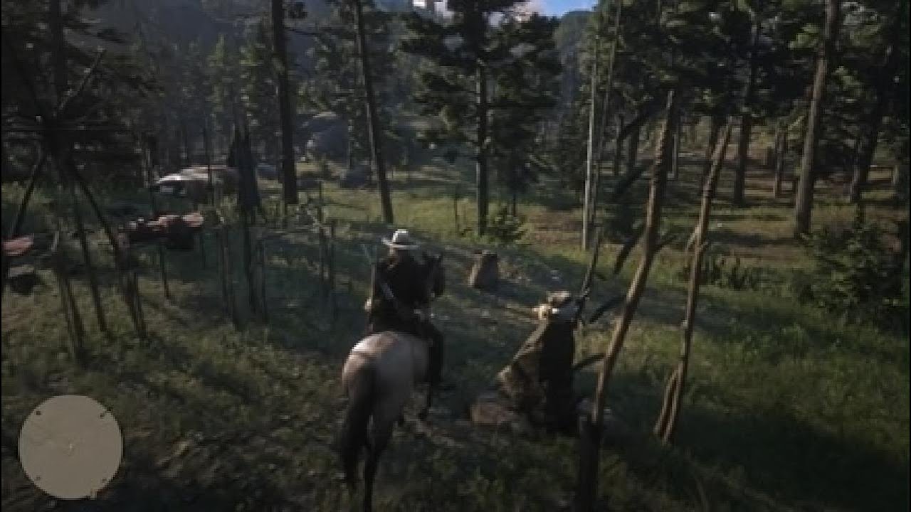 RDR2 GAMEPLAY 44