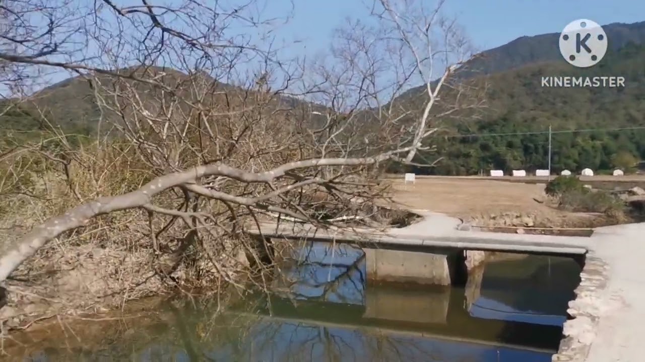 1月榕樹澳村去深涌風景