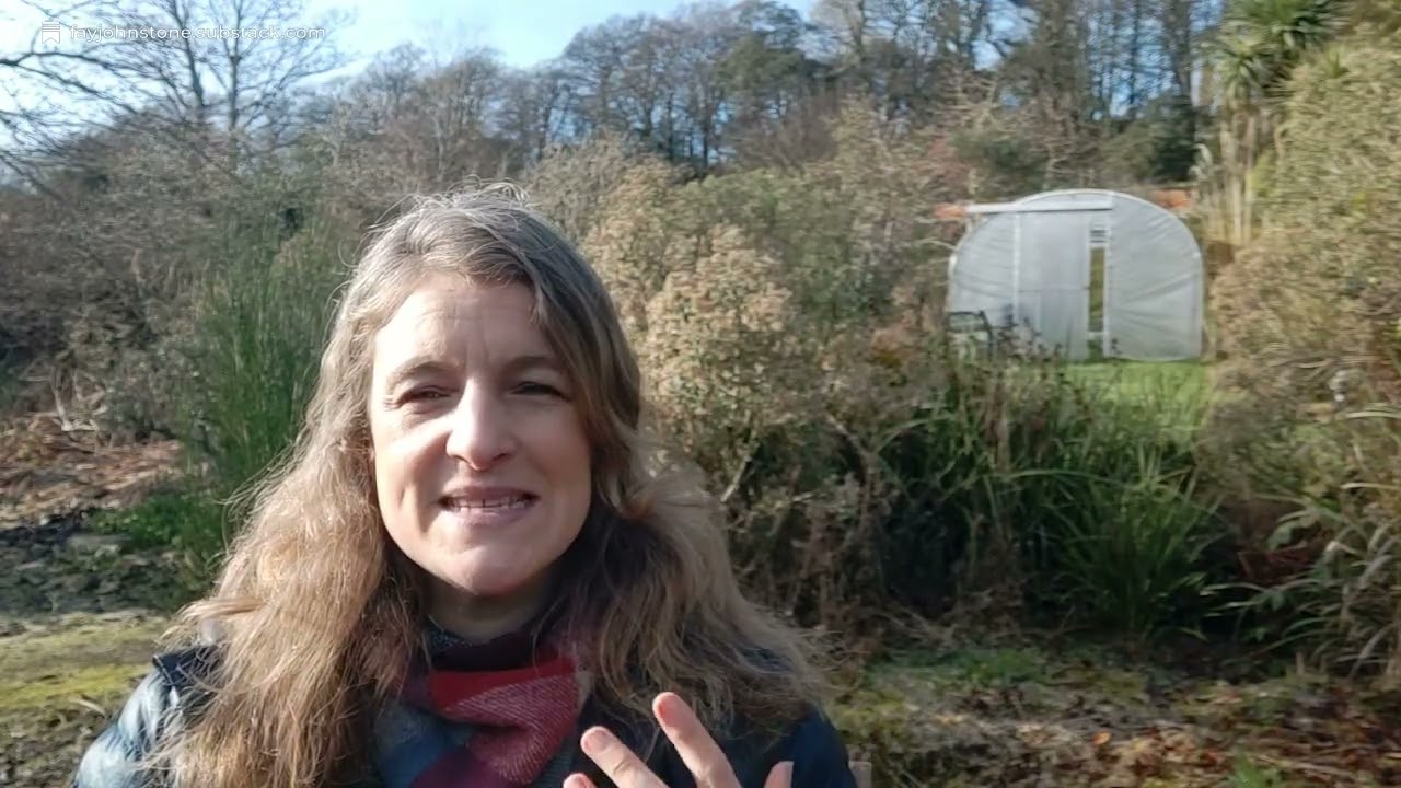 Meditation: Connecting to the Web of Life with Fay Johnstone