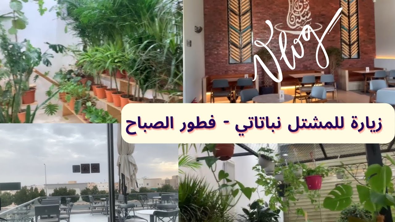 نباتاتي و فطور الصباح