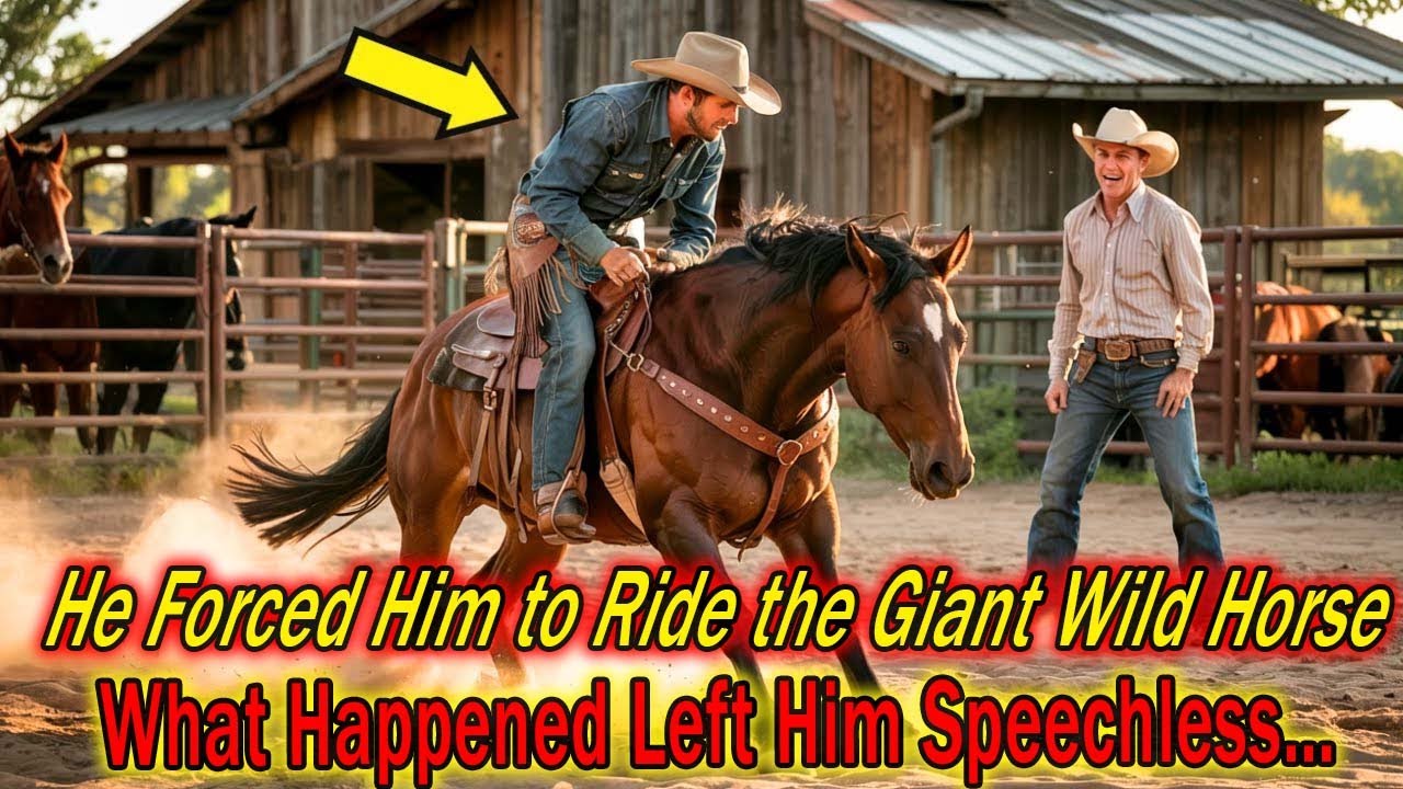 A Rich Rancher Forced a Poor Cowboy to Ride His Giant Wild Horse — What Happened Left Him Speechless