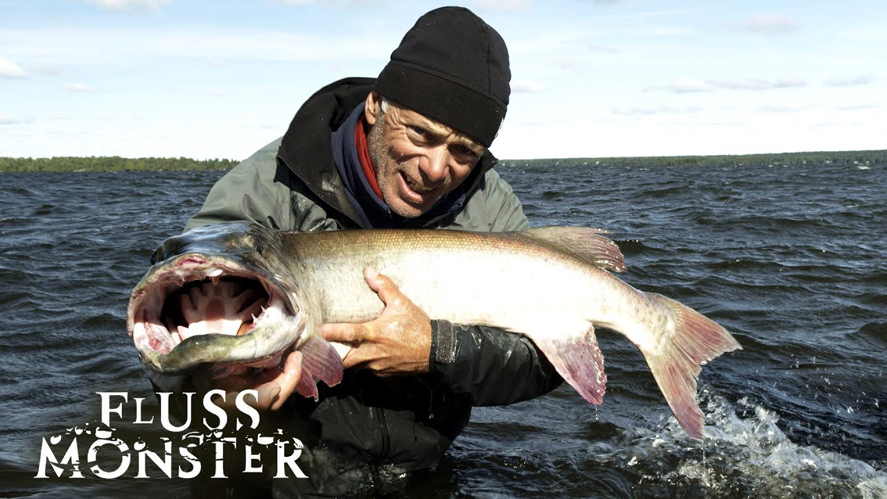 Der nordamerikanische Musky: Verdächtiger der Tiefe | S7 E04 | Fluss Monster