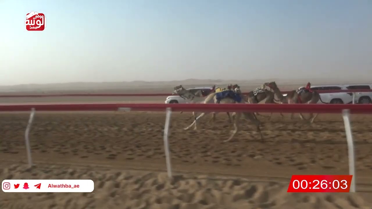 ش 23 (الشاهينيه) لـ احمد جمعه بن كلثم الخييلي 2:11 , شارة الصندوق 2026/03/14 فطامين الروضة