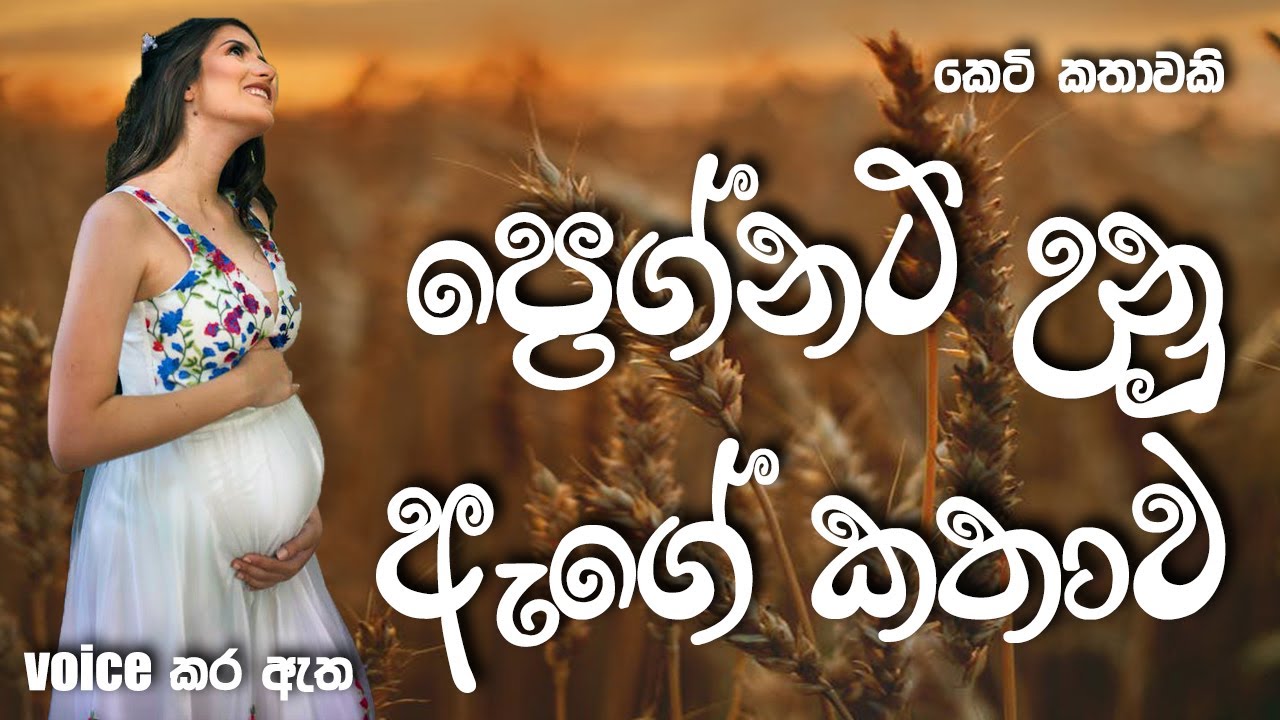 ප්‍රෙග්නට් උනු ඇගේ කතාව | Sinhala short story | BOOK CAFE | #sinhalaketikatha #adarakatha