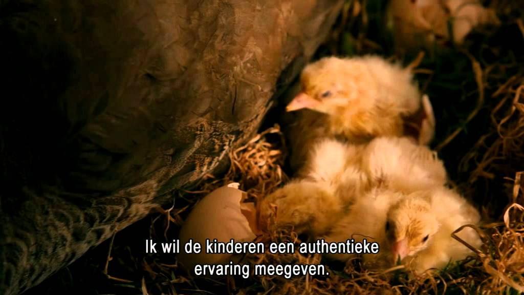 We Bought a Zoo - Op Blu-ray en DVD