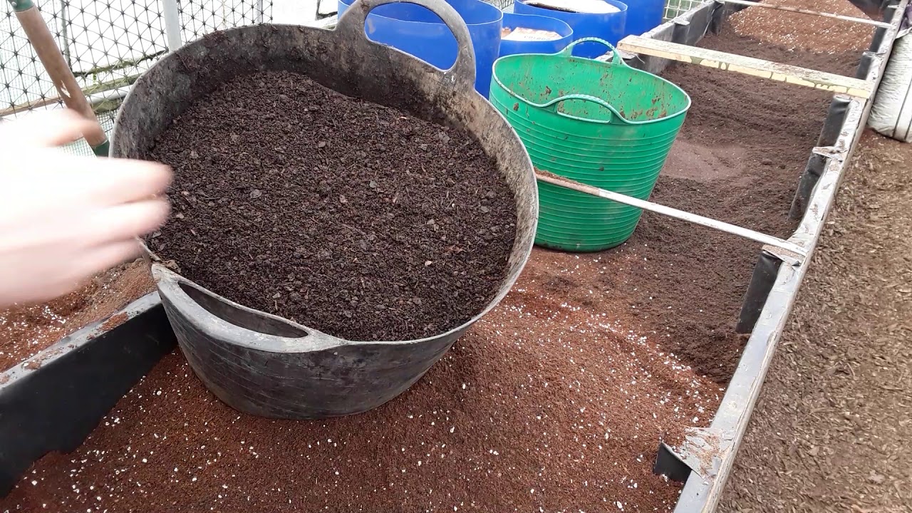 How To Prepare The Final Layer In My Raised Bed Hopefully To Prevent The Carrots Forking  (500)