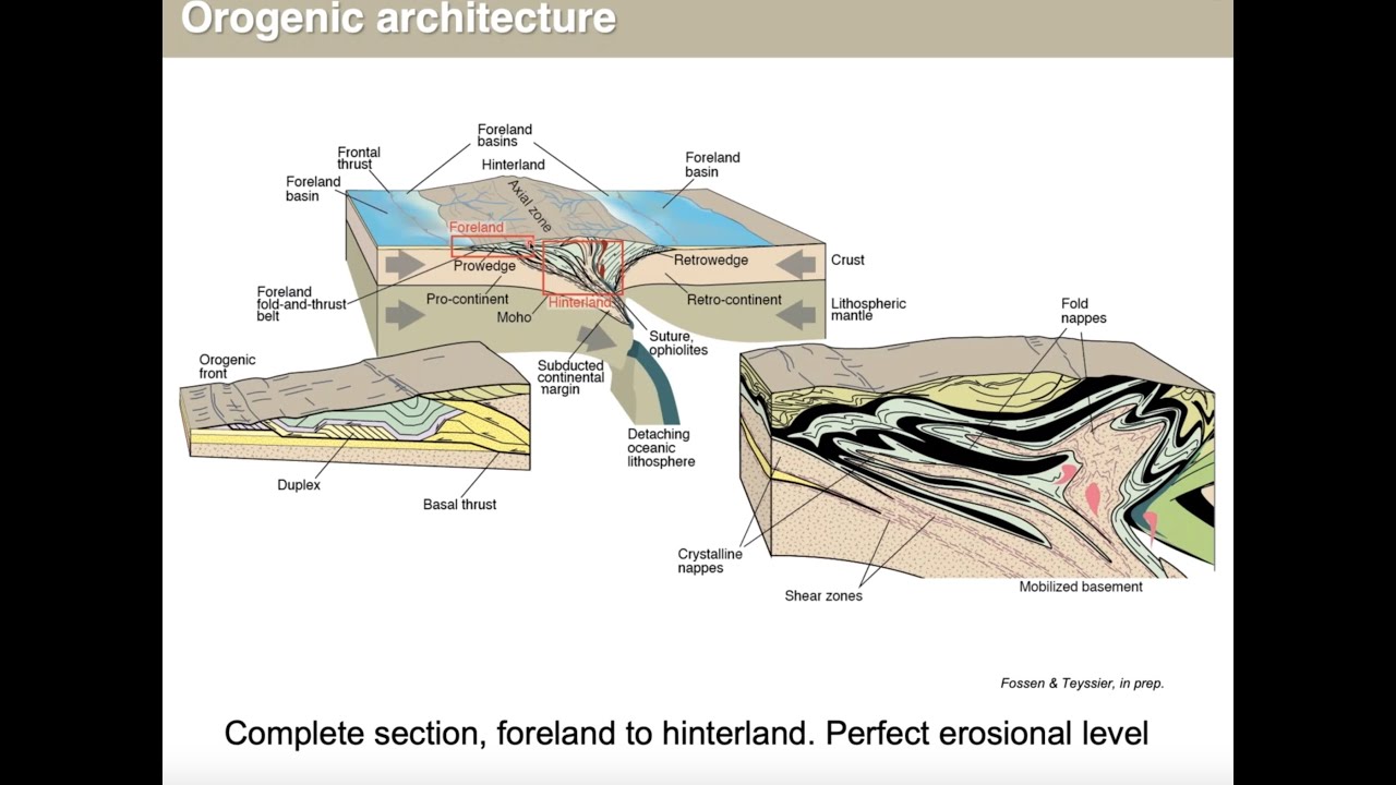 From deep continental subduction  to profound orogenic stretching by Haakon Fossen