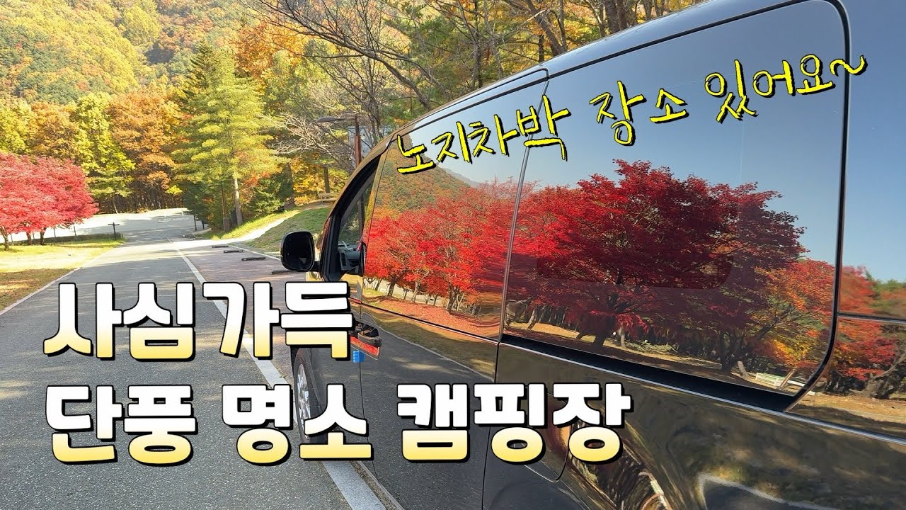 노지차박 장소 찾고 단풍 명소 캠핑장에서 캠핑하기 / 단풍 캠핑 최고였습니다~!!