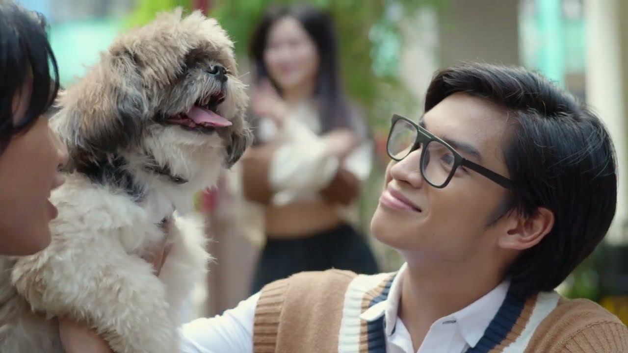 The Shih Tzu dog of Prince Zeyn | Chukchuk song | Rainbow Prince
