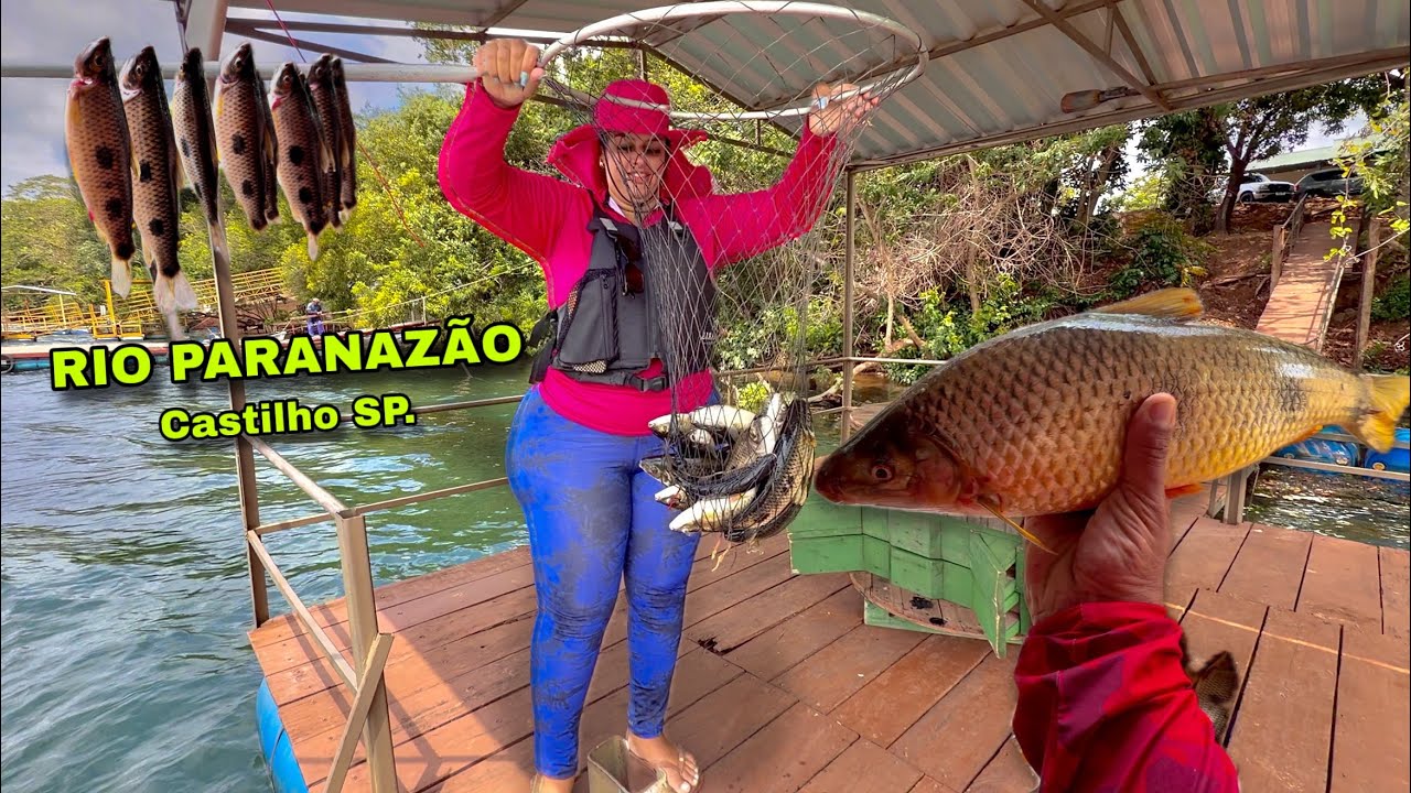 Pescaria no Rio Paraná Divisa com Mato Grosso do Sul, Muito Piau e Piapara