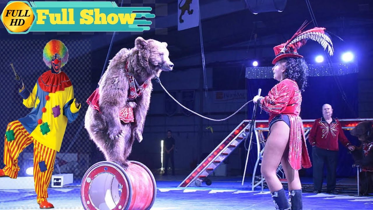 Royal circus Full show || सर्कस शो सिरसा || Sarkas in sirsa