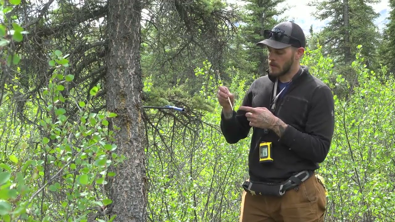 A Day in the Life of an Ecologist video